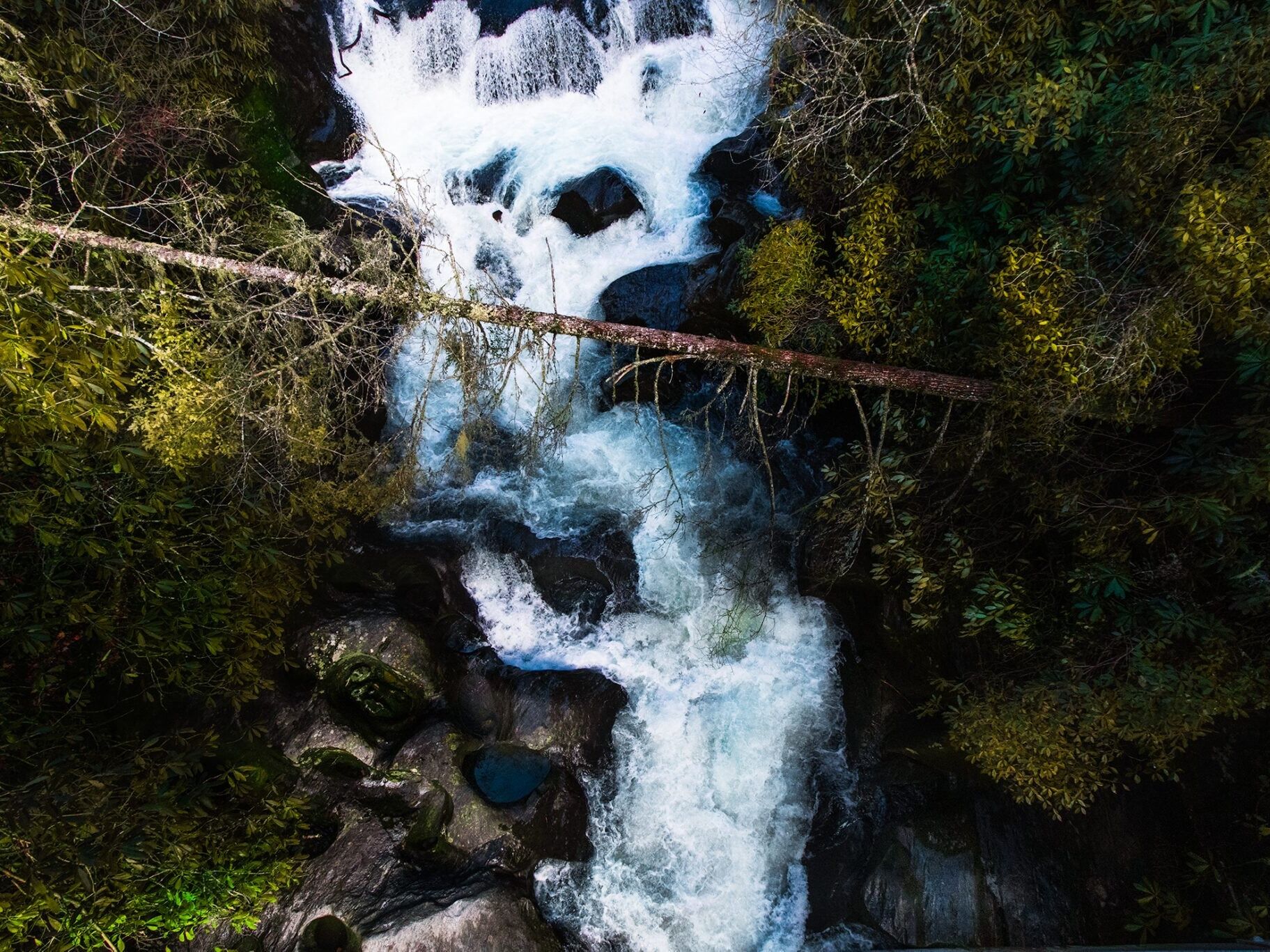 Picture of Day Hikes
