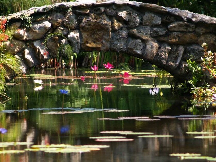 Picture of McKee Botanical Gardens