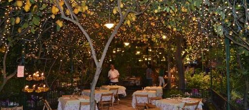 Picture of A Magical Evening Under the Lemon Trees