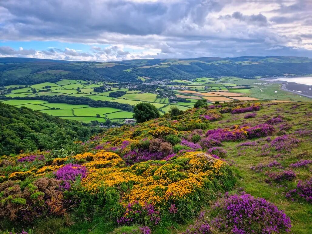 Picture of Exmoor National Park