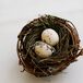 Palladium, Sapphire and Diamond Engagement Rings in Nest