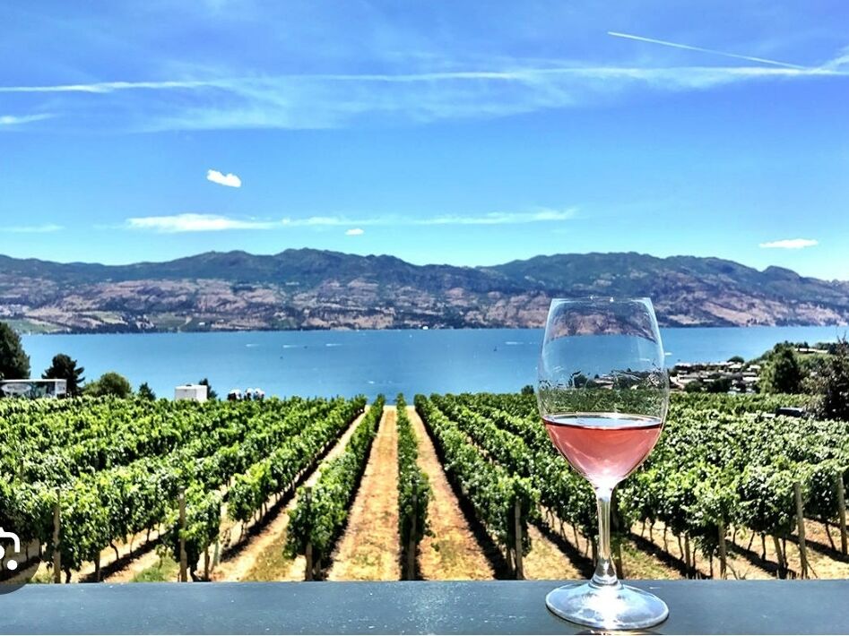 Picture of Wine Tasting 