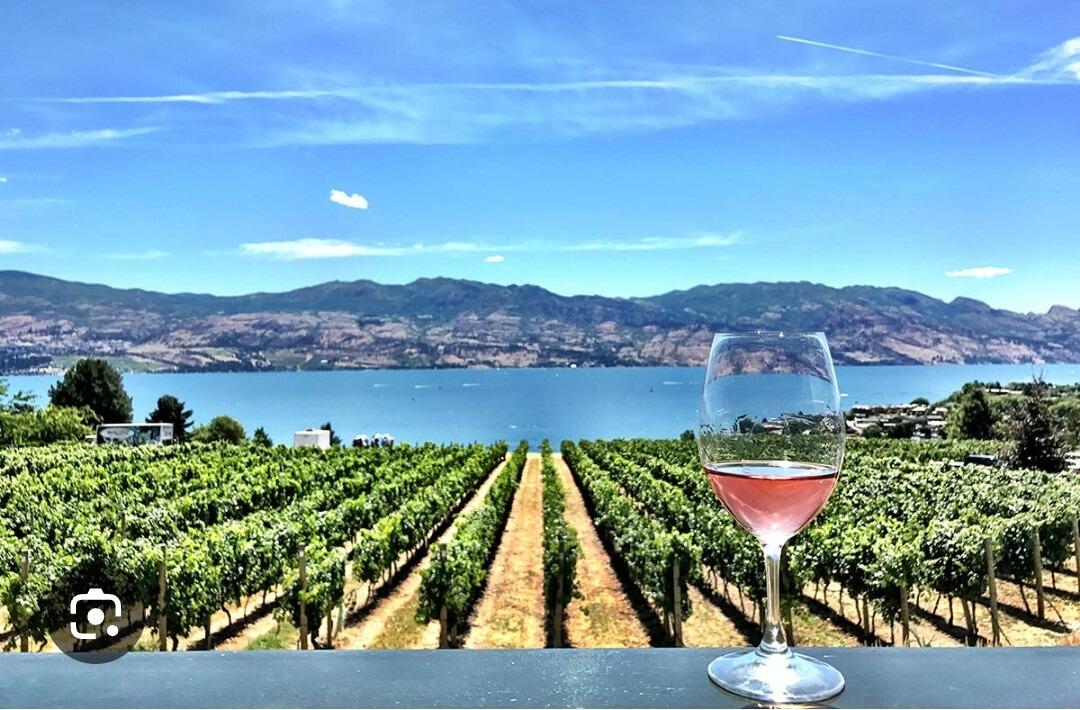 Picture of Wine Tasting 