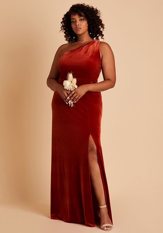 Birdy Grey Kira Dress in Velvet Burnt Orange One Shoulder Bridesmaid Dress - 1