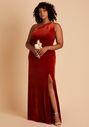 Birdy Grey Kira Dress in Velvet Burnt Orange One Shoulder Bridesmaid Dress - thumbnail - 1