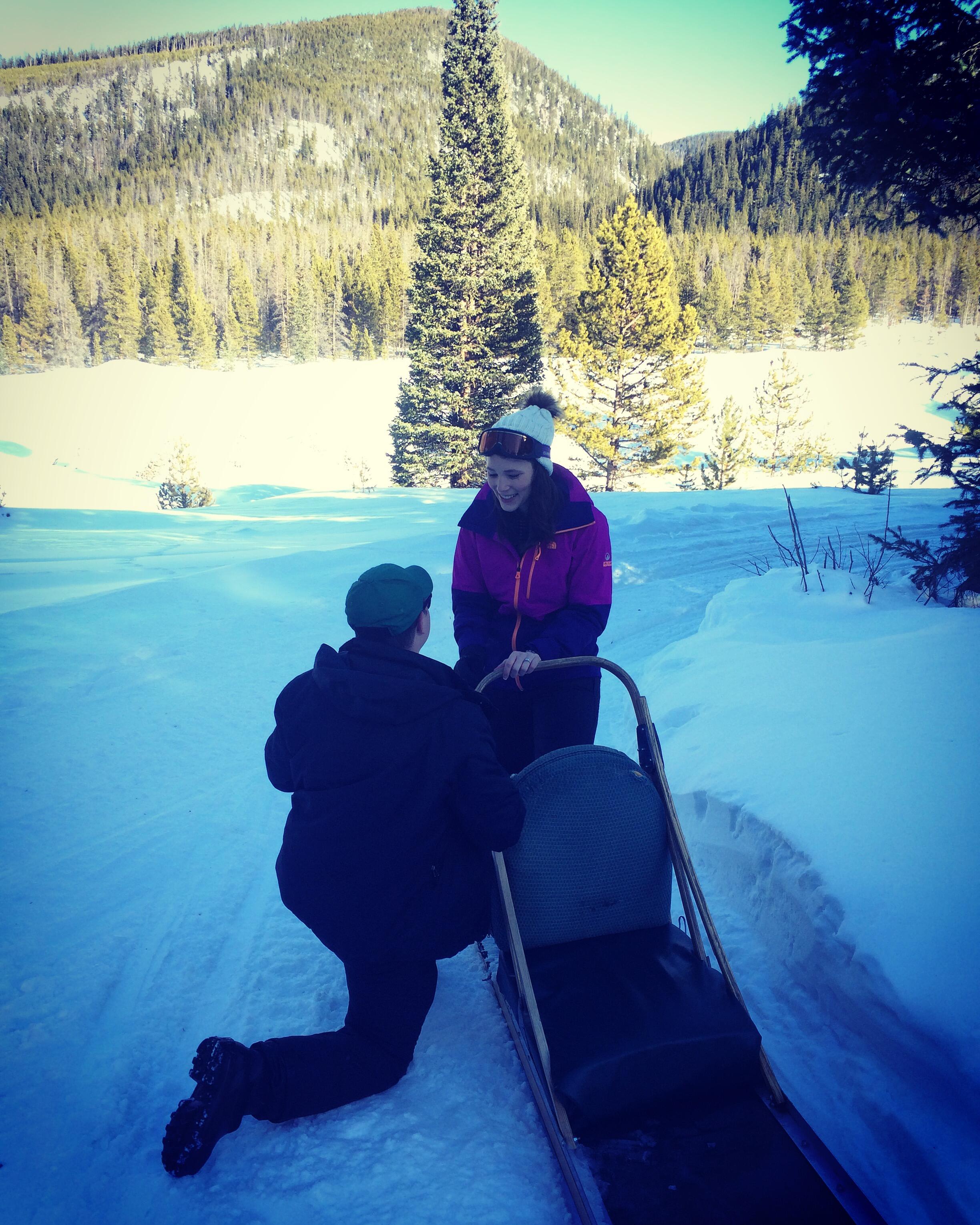 Picture of The Proposal
