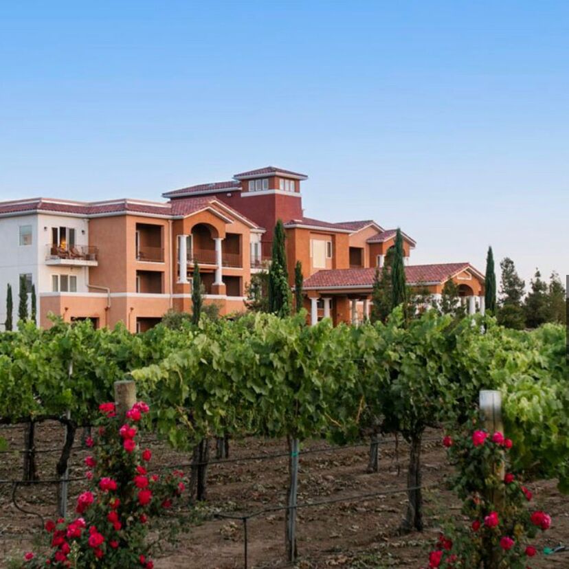 Picture of South Coast Winery Resort & Spa