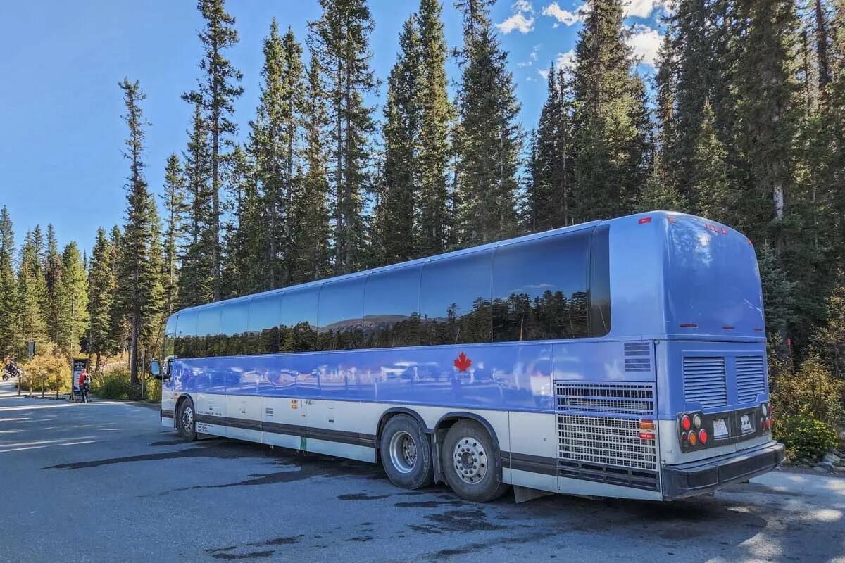 Picture of Park and Ride - Lake Louise and Moraine Lake Bus Shuttle