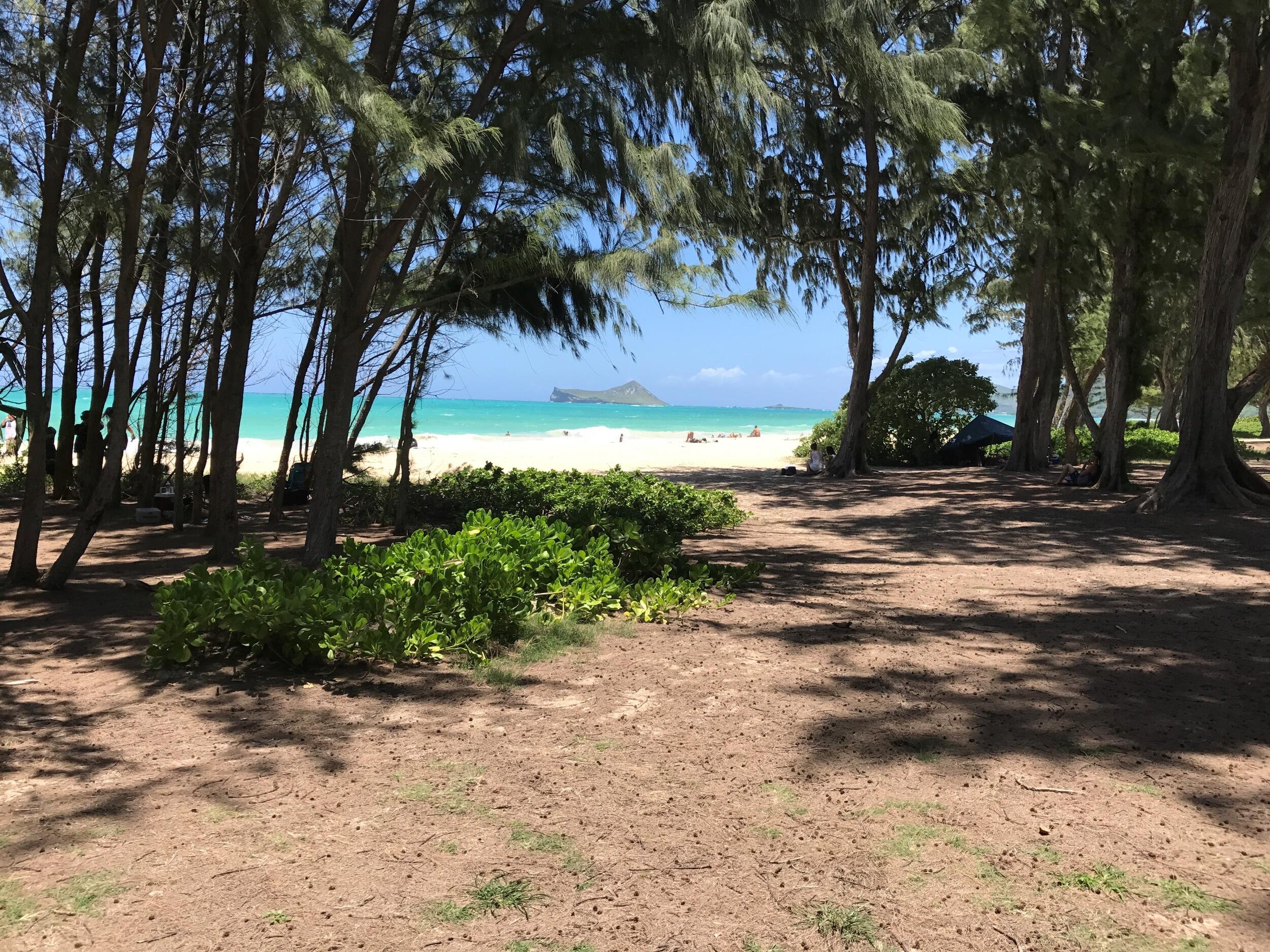Picture of Waimanalo Beach
