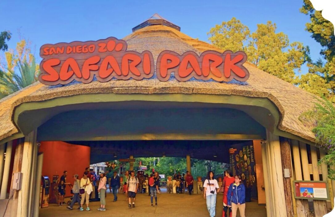 Picture of San Diego Zoo Safari Park