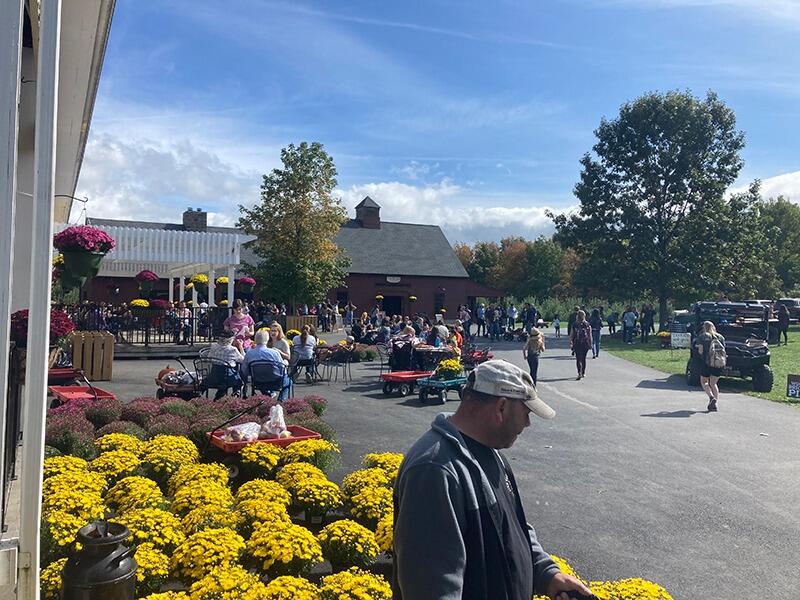 Picture of DuBois Farms