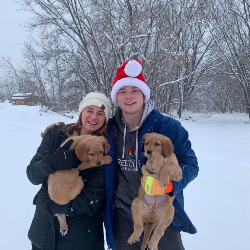 Picture of Christmas at Home