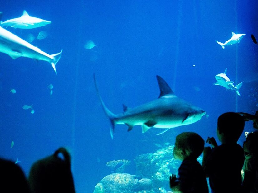 Picture of Greensboro Science Center