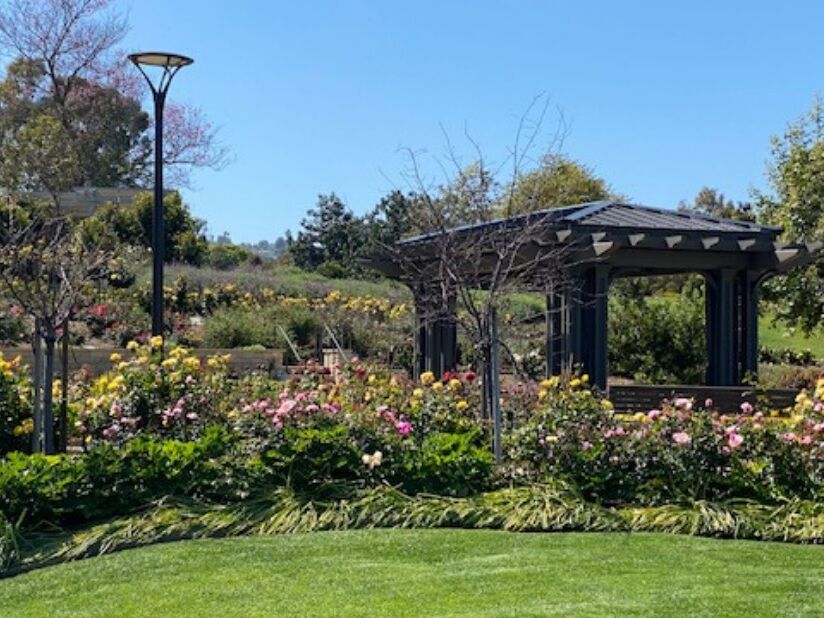 Picture of South Coast Botanic Garden
