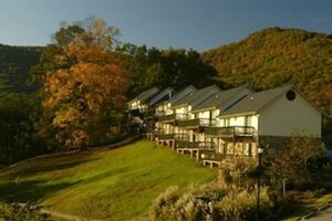 Picture of Kingwood Resort
