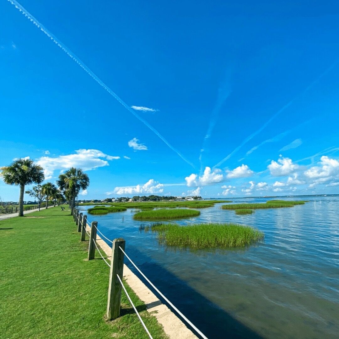 Picture of Pitt Street Bridge