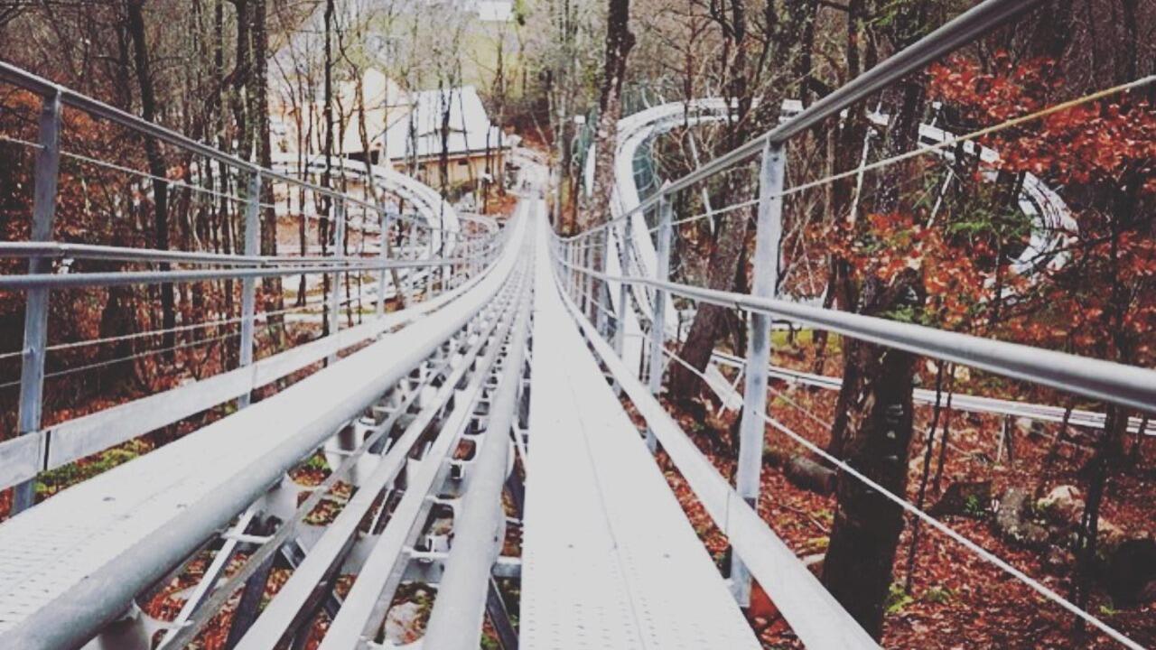 Picture of Wilderness Run Alpine Coaster