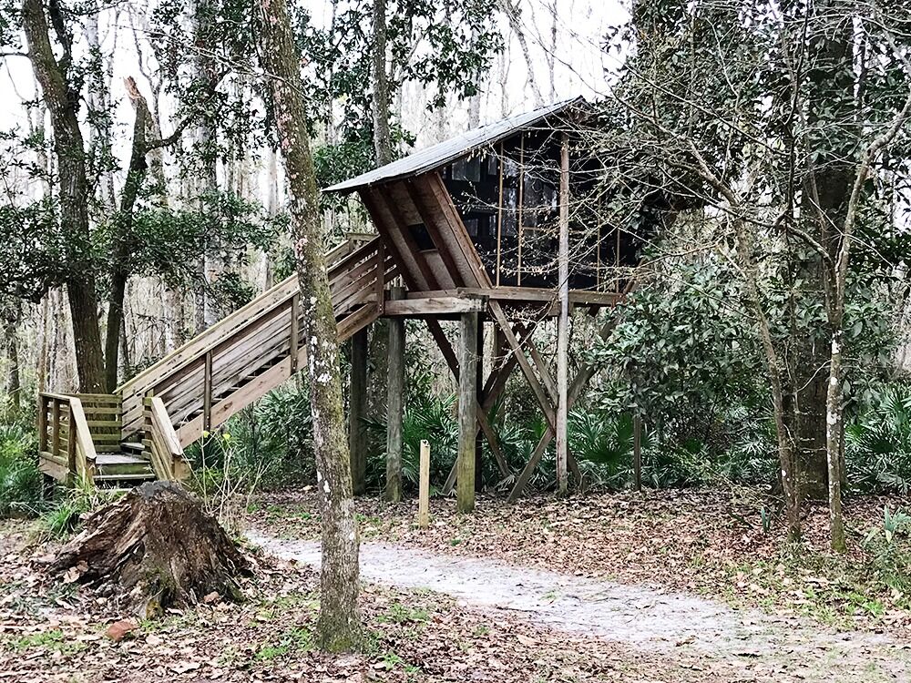 Picture of Camp Chowenwaw Park