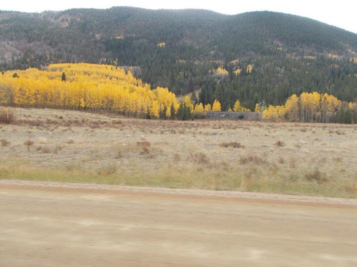 Album Photo 422