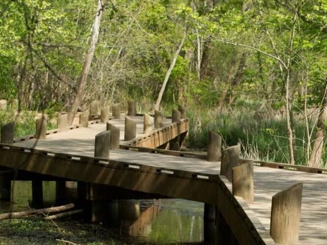 Picture of Springfield Conservation Nature Center