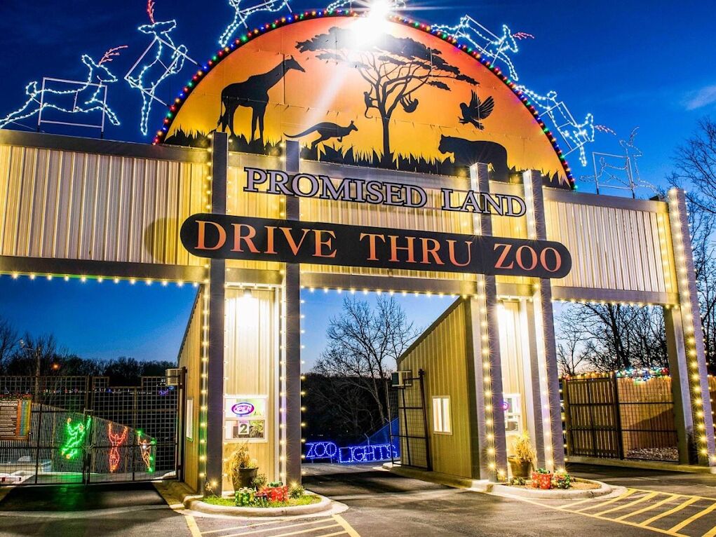 Picture of Let There Be Lights - Drive Thru Christmas Lights Display