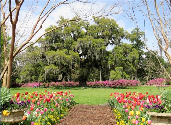 Picture of Airlie Gardens