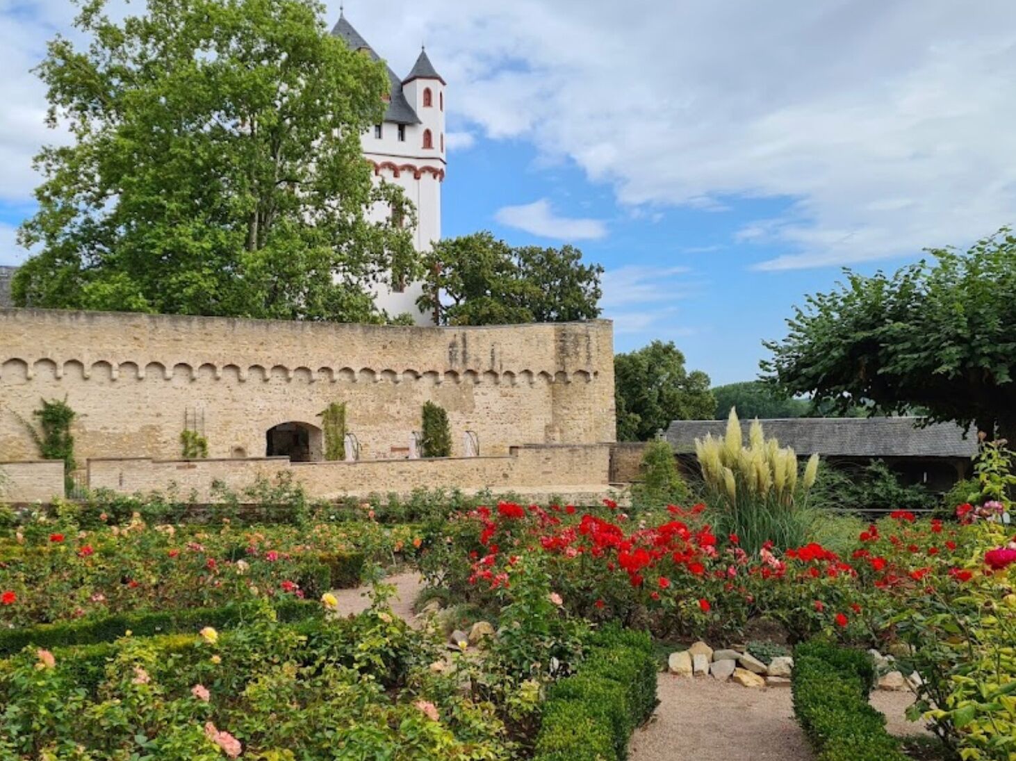 Picture of Eltville Castle