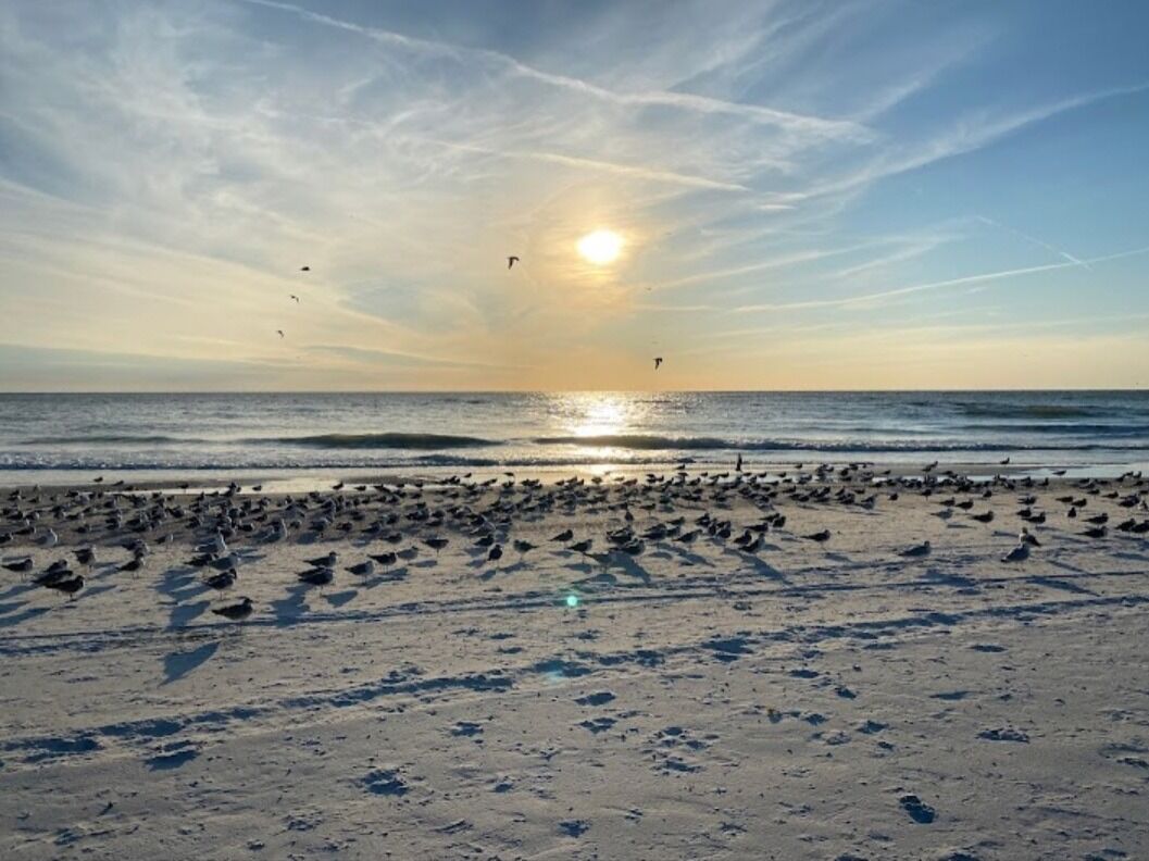 Picture of Treasure Island Beach