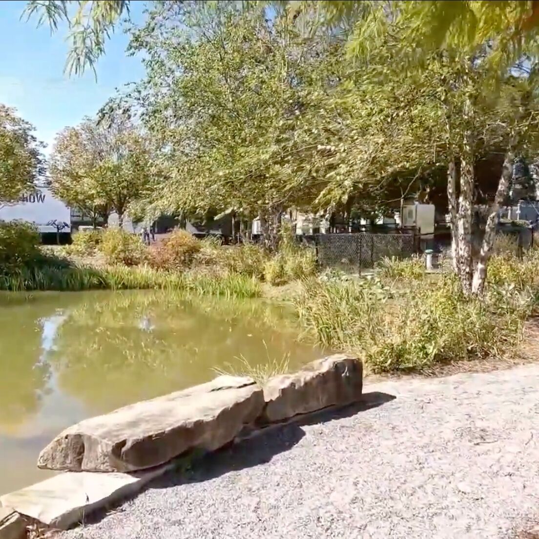 Picture of Railroad Park Foundation