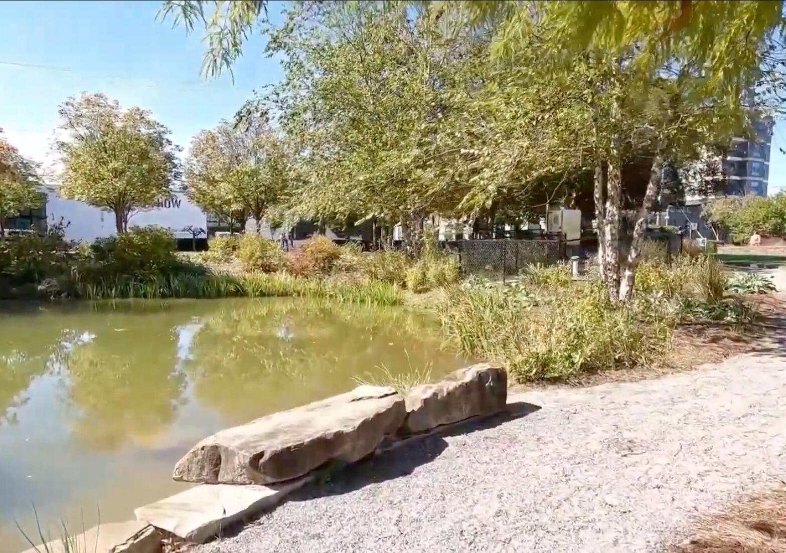 Picture of Railroad Park Foundation