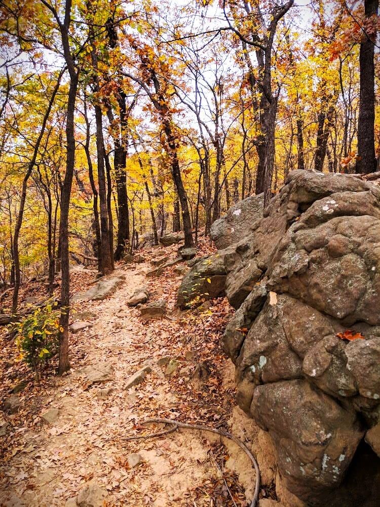Picture of Turkey Mountain