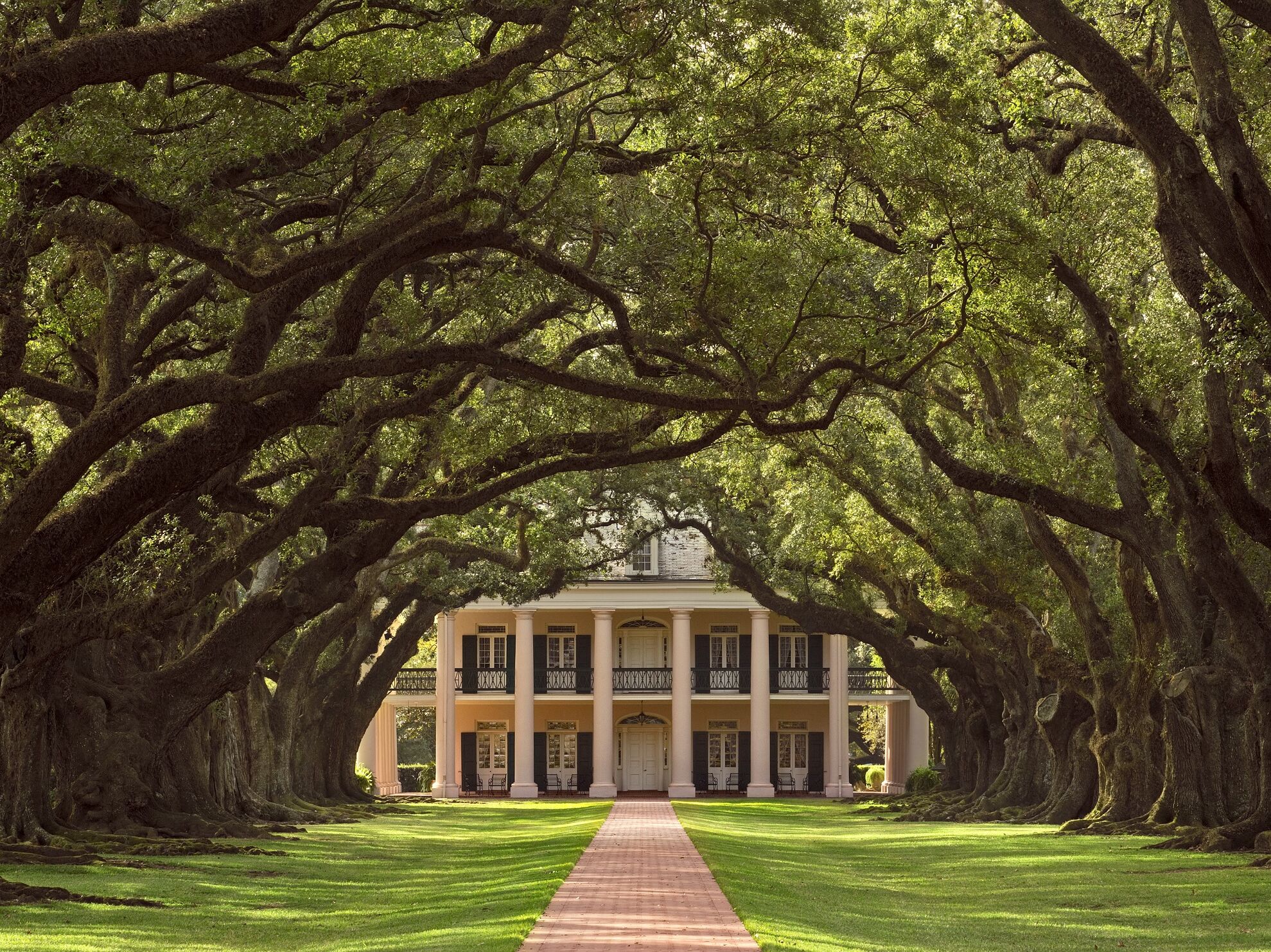 Picture of Oak Alley Plantation