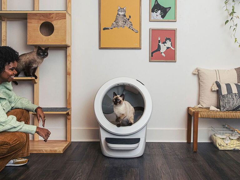 Litter Robot automatic cat litter tray cool gift idea for newlyweds with cats