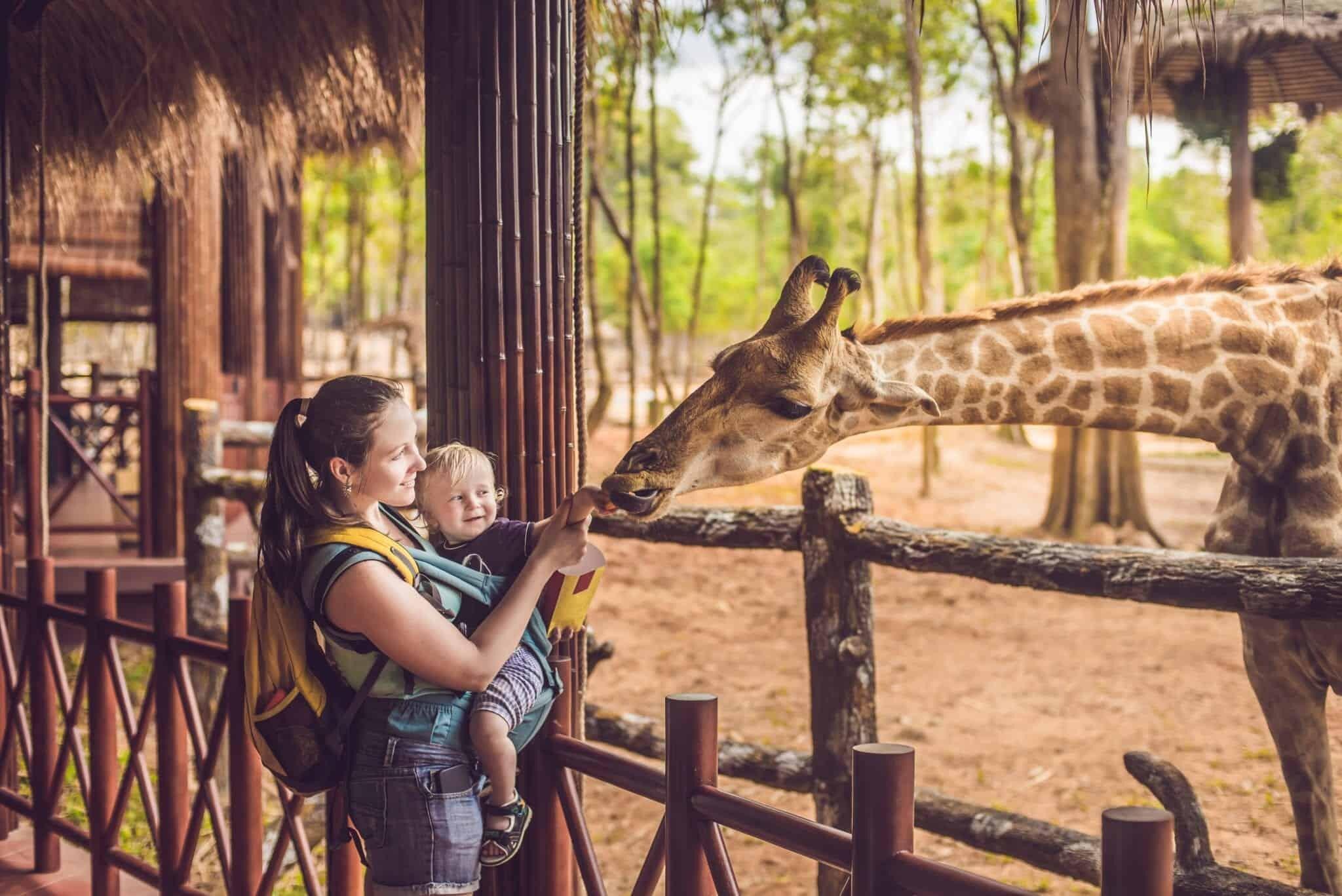 Picture of Greenville Zoo