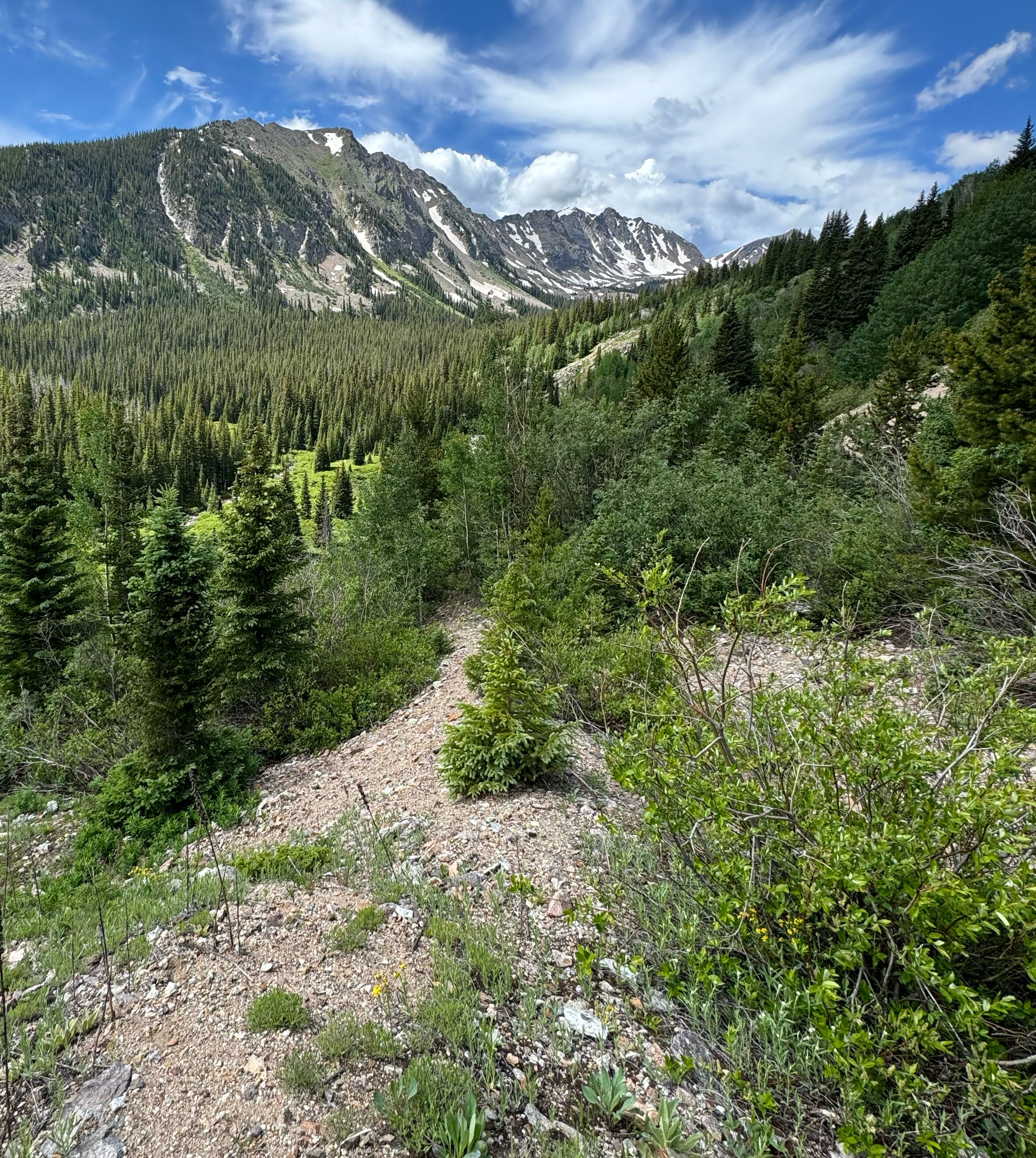 Picture of Local Hikes