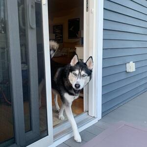 Gallery Photo 16