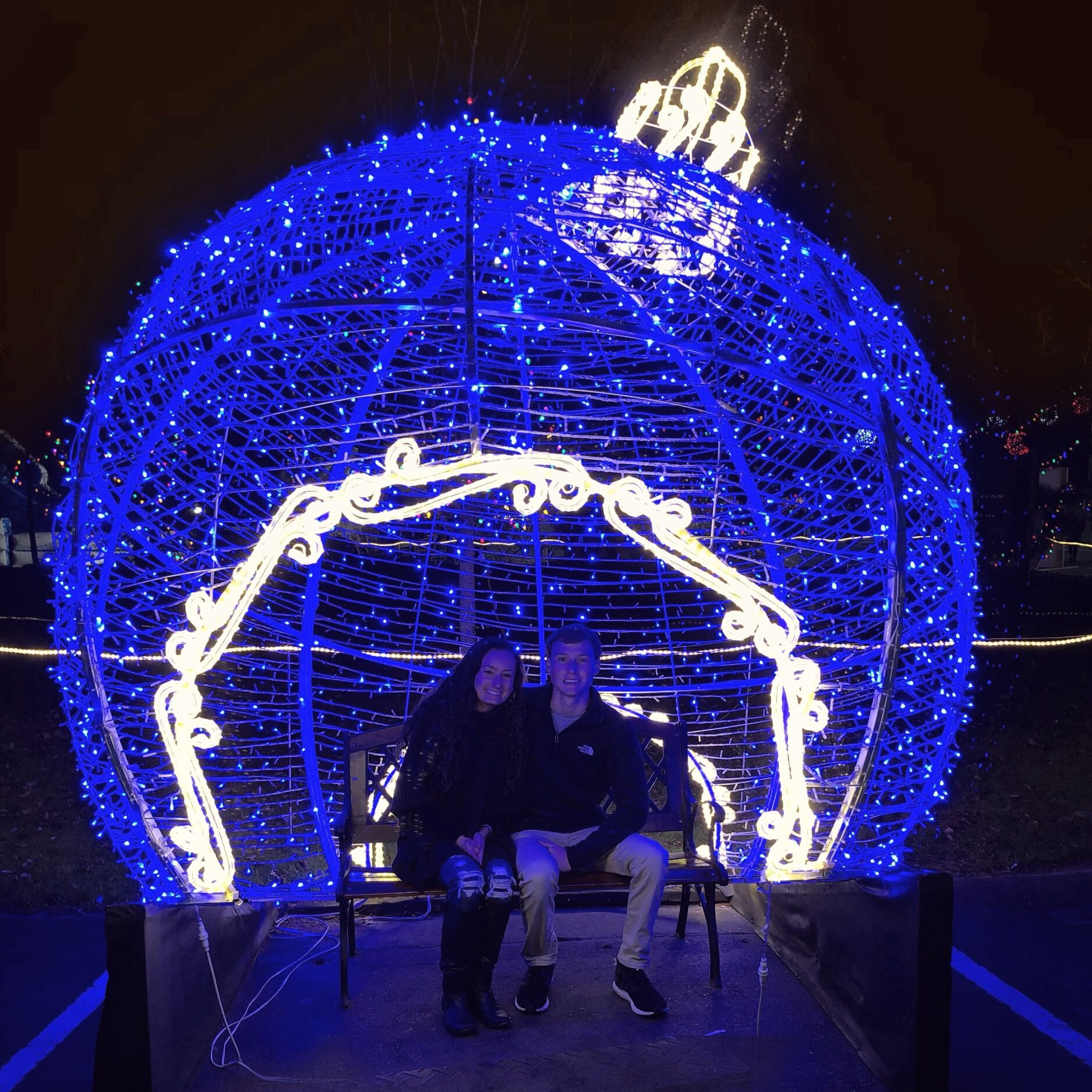 Picture of The Great Christmas Light Show