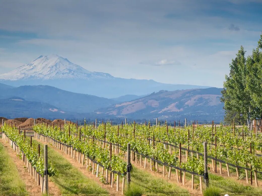 Picture of Wine Tasting!