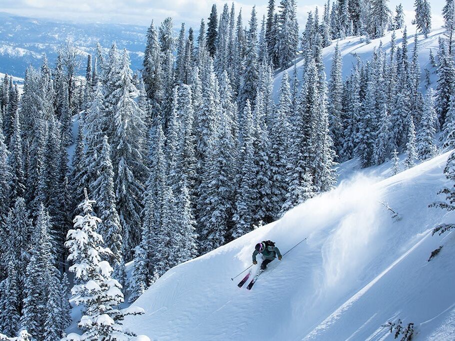 Picture of Tamarack Resort