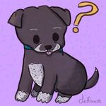Oreo Denniston-Thompson