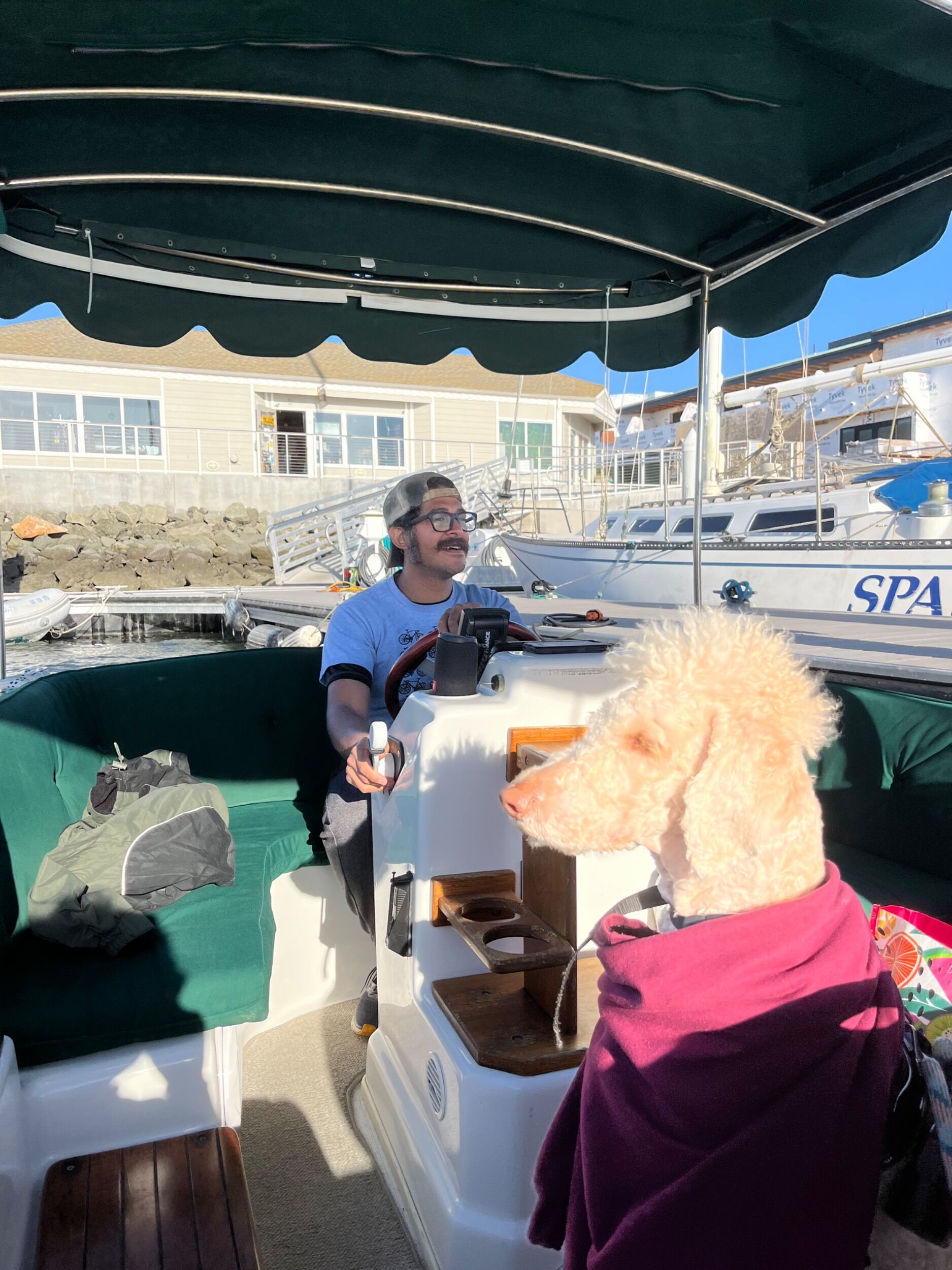 Picture of Bay Cruisers - Electric Boat Rentals
