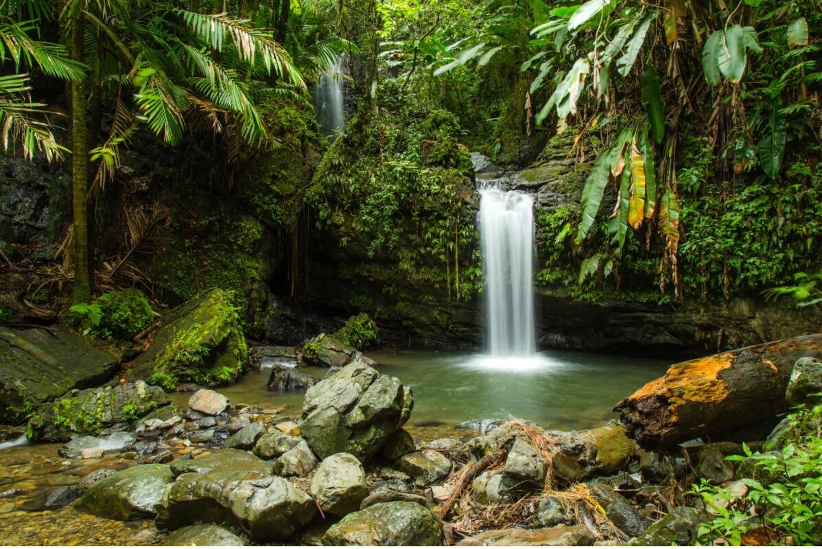 Picture of El Yunque National Forest