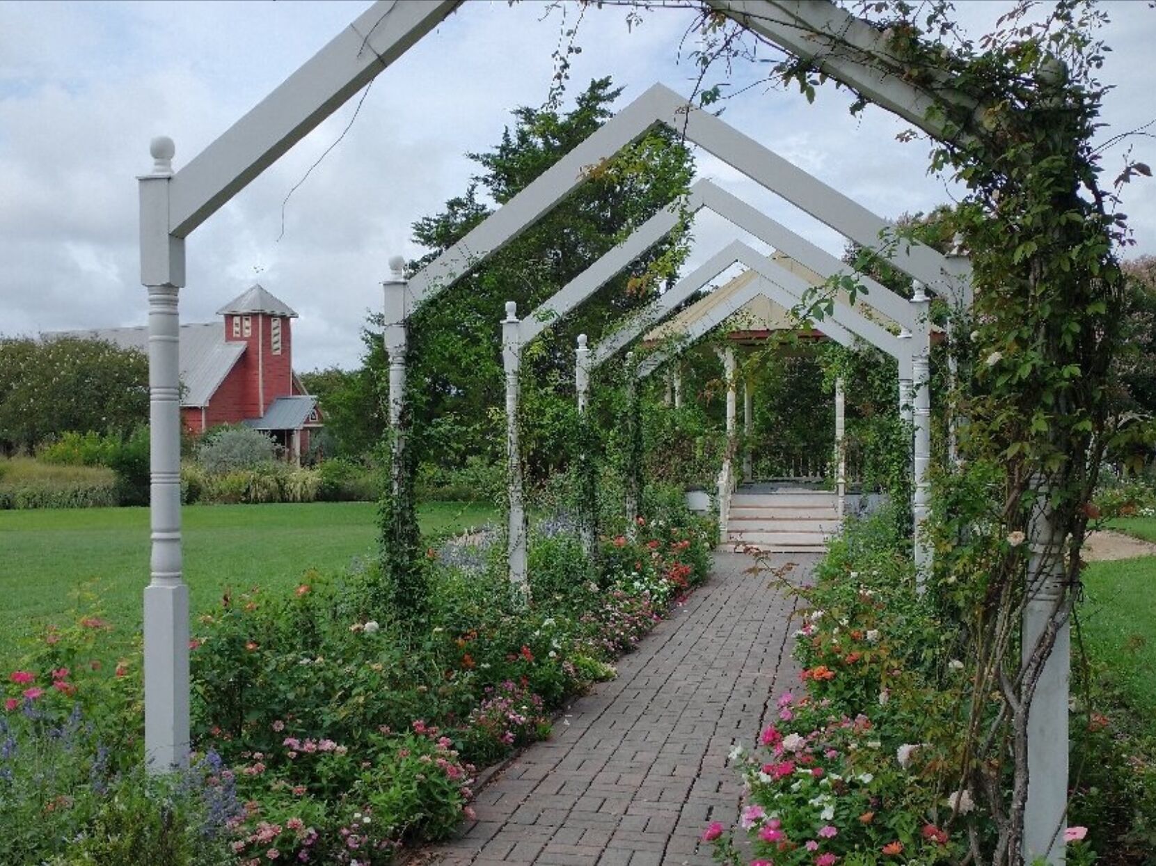 Picture of Antique Rose Emporium - Nursery & Display Gardens