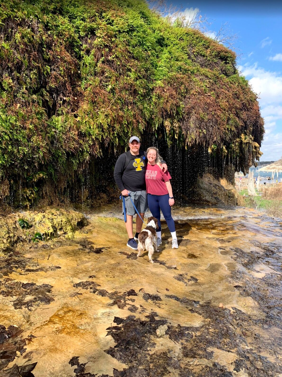 Picture of Crockett Garden Falls
