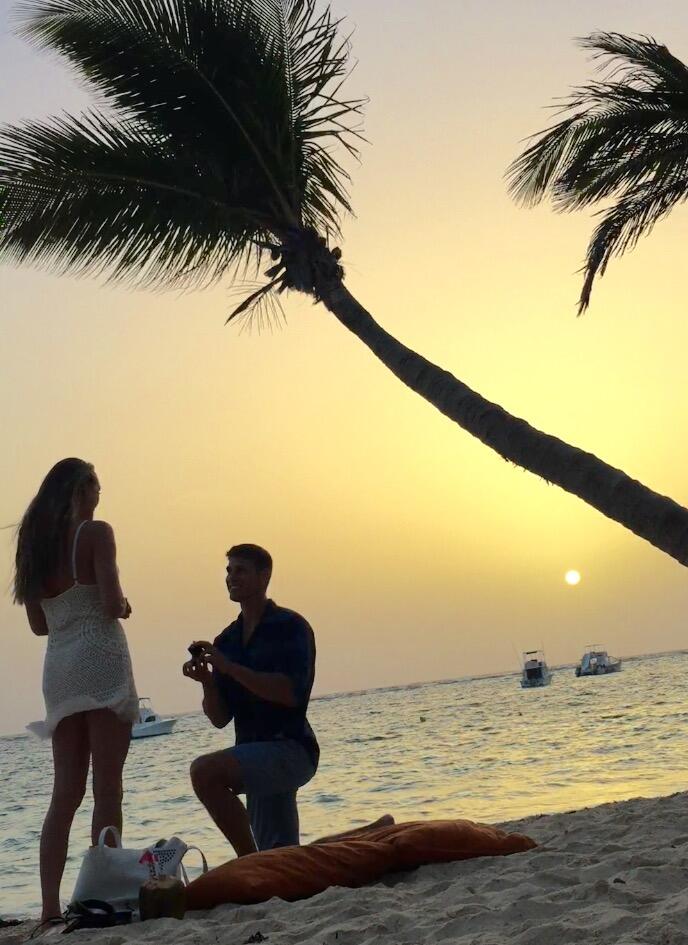 Picture of The Proposal 