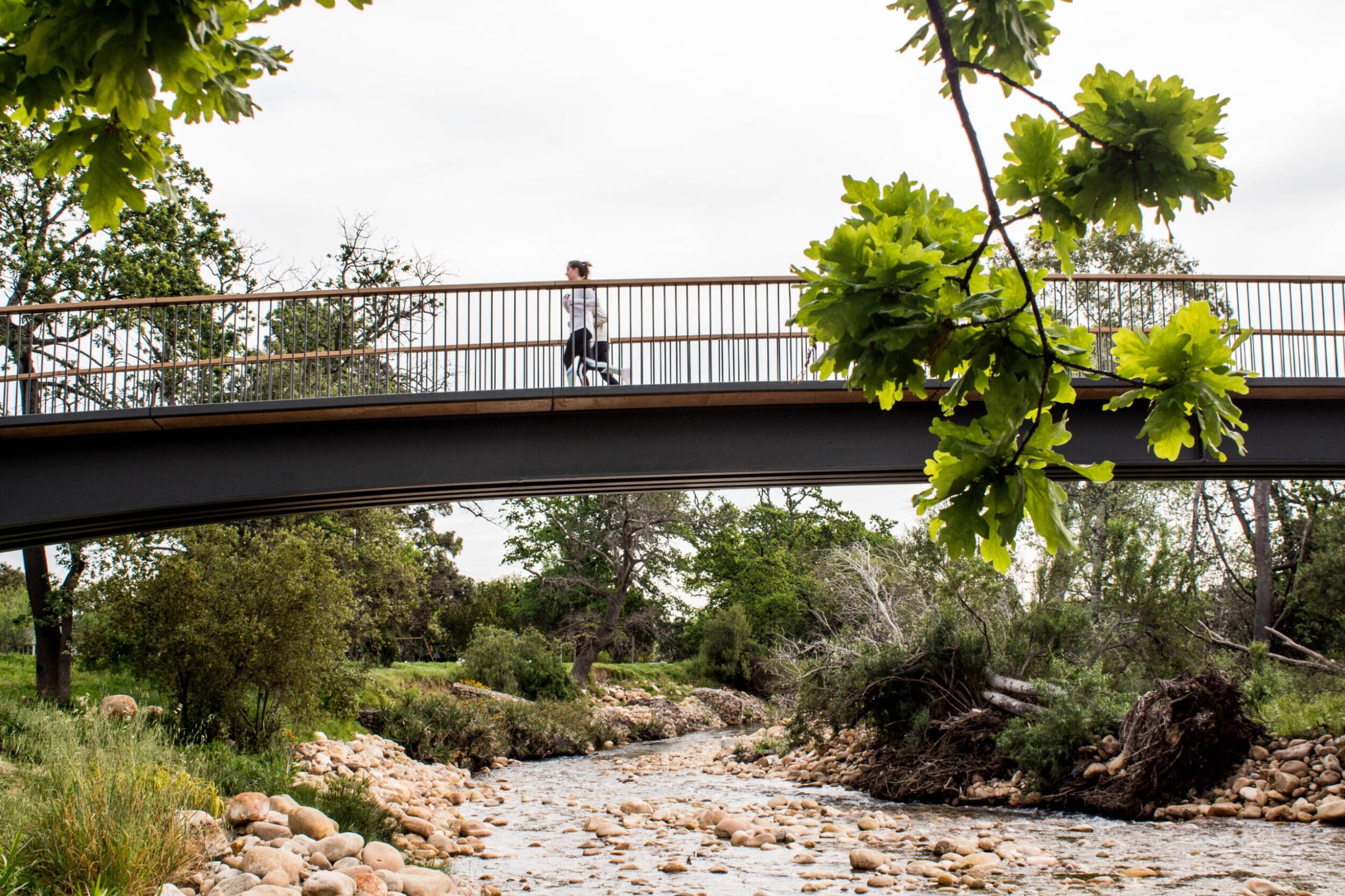 Picture of Eerste River Trail