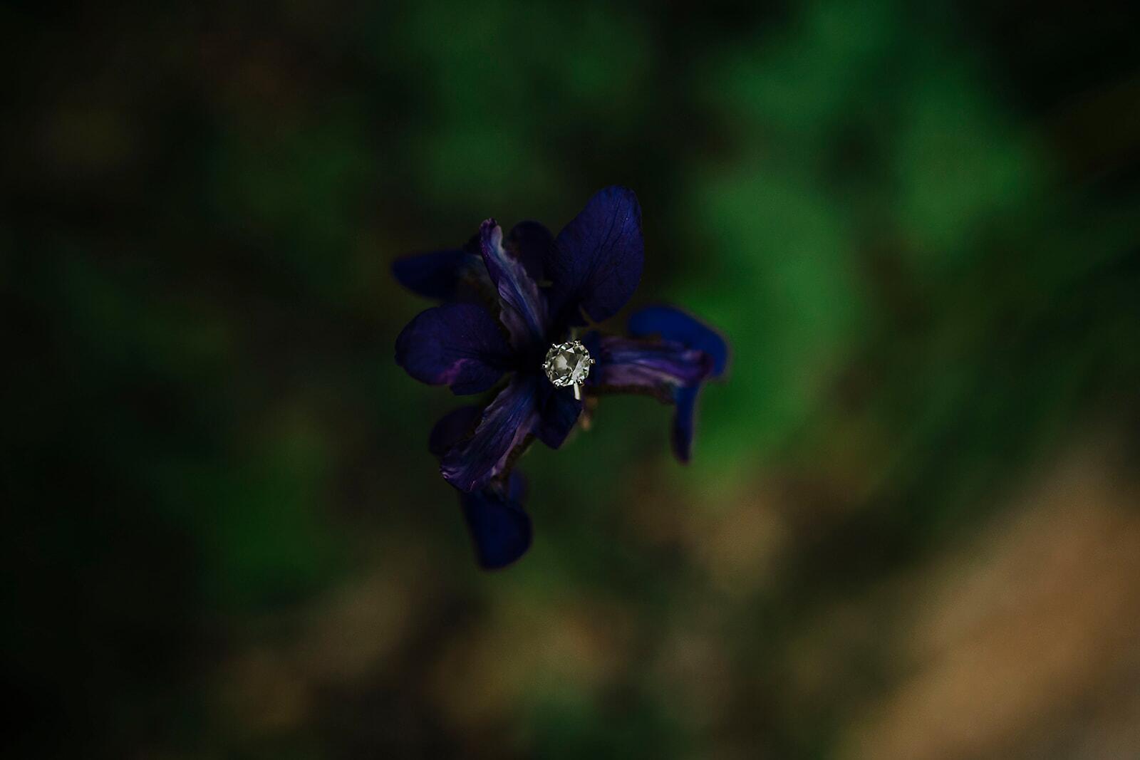 Album Photo 8