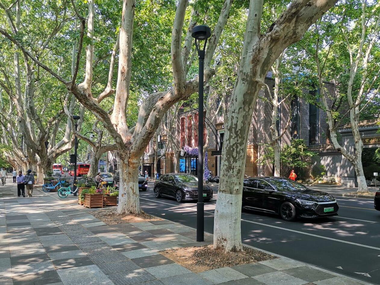 Picture of Nanshan road (南山路)