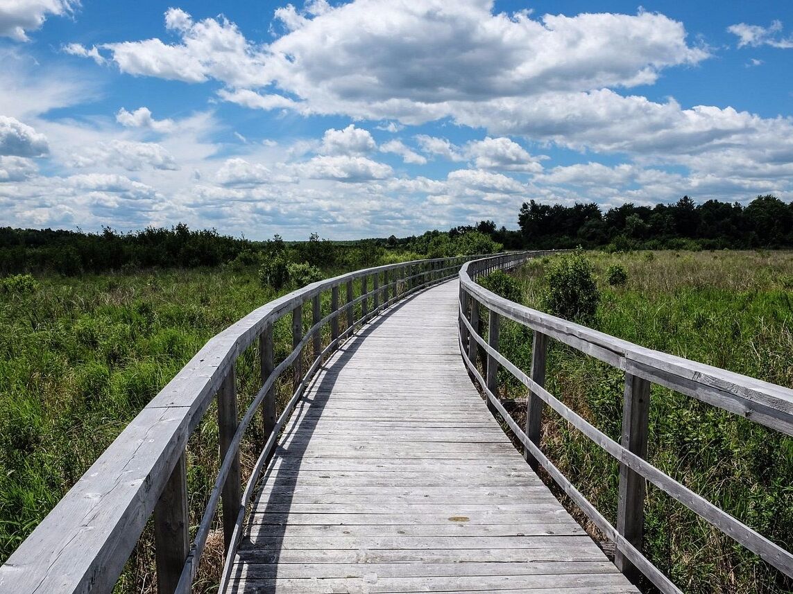 Picture of Cooper Marsh Conservation Area