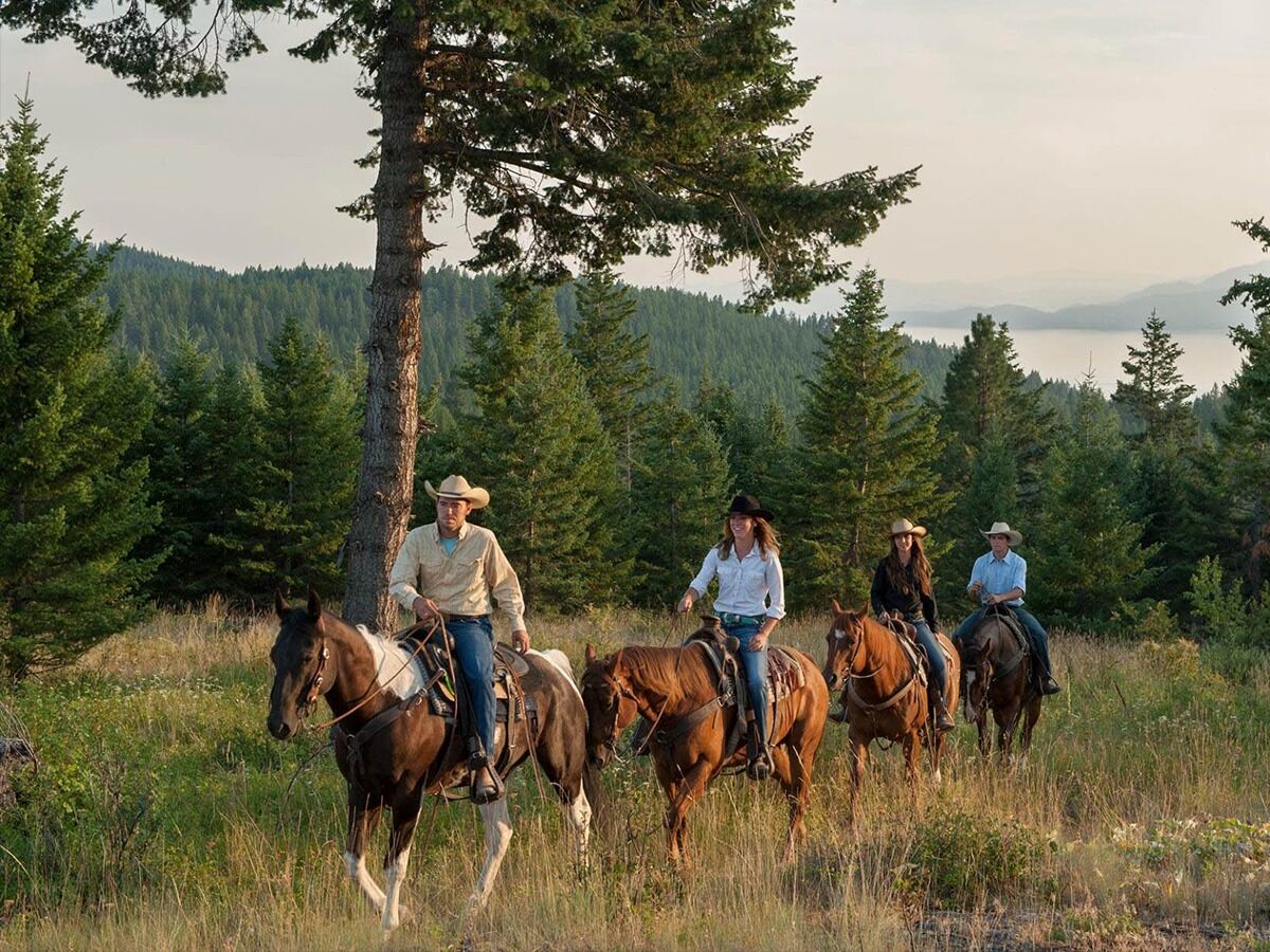 Picture of Montana Horse Works
